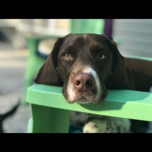 Meet your Posher, Marianna